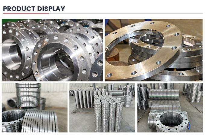 ASME/ANSI/DIN/GOST/BS EN RF/FF/Rtj 150#-2500# สแตนเลส/สแตนเลสเหล็กสลัก Wn/So/Threaded/Plate/Socket/Blind Flange 11